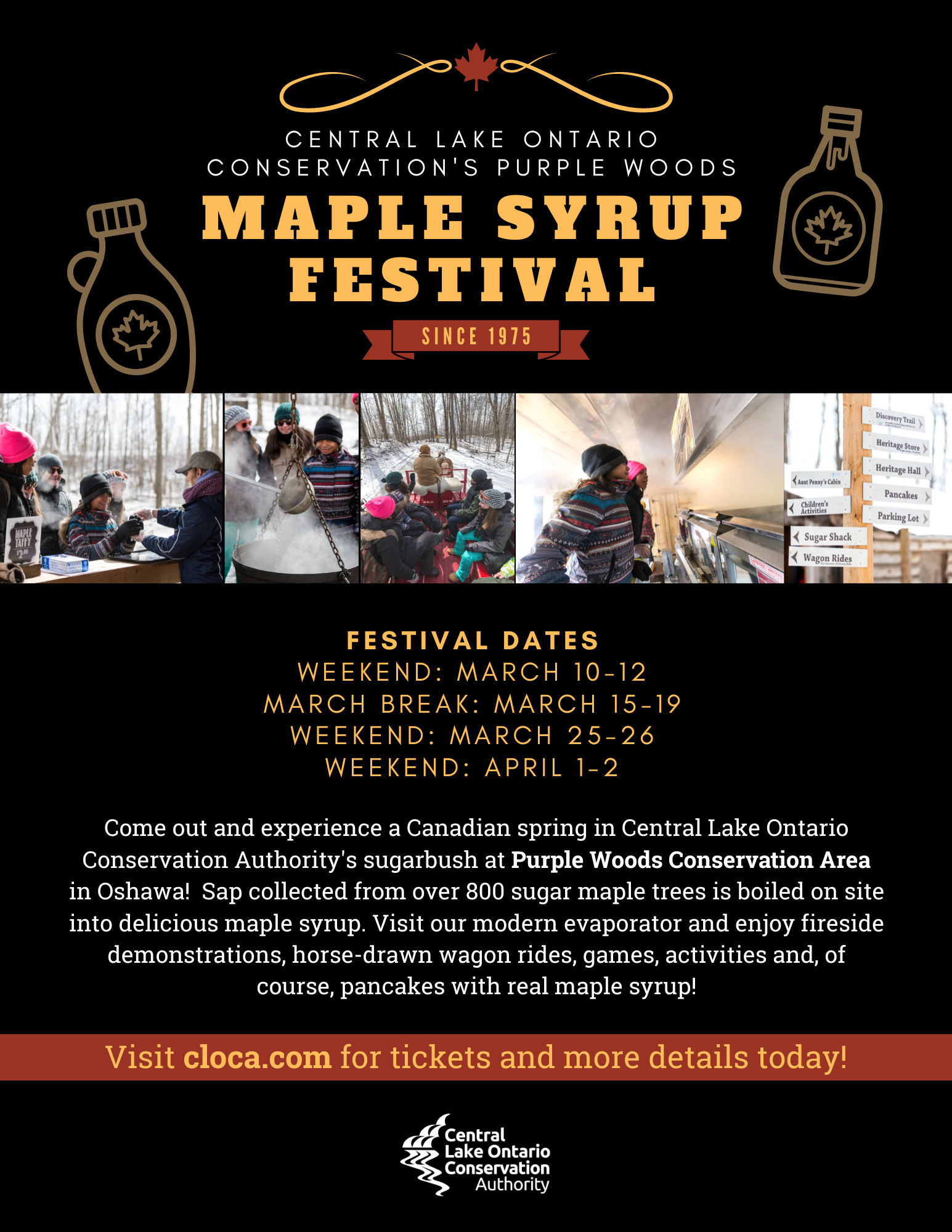 Purple Woods Maple Syrup Festival