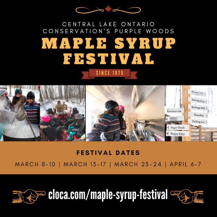 Central Lake Ontario Conservation's Purple Woods Maple Syrup Festival, Since 1975.  Images of families around a big steaming pot, on a wagon ride, and by the evaporator. 